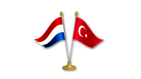 TÜRKİYE  HOLLANDA EKONOMİK VE TİCARİ İLİŞKİLERİNDE KARŞILAŞILAN SORUNLAR VE ÇÖZÜM ÖNERİLERİ