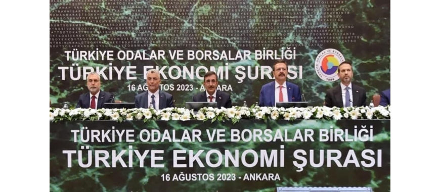 TÜRKİYE EKONOMİ ŞURASI 2023